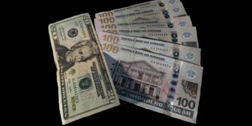 SBV: Licht beschadigde Amerikaanse dollars blijven geldig betaalmiddel