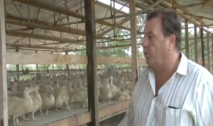 a man in a white shirt