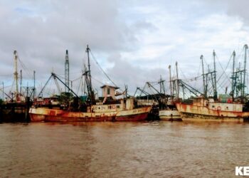 vissers In de op 16 september 2024 gepubliceerde studie van Ifremer, CRPMEM Guyana en WWF-Frankrijk, komt naar voren dat de visserijdruk die veroorzaakt wordt door illegale buitenlandse boten in de wateren van Frans-Guyana de afgelopen 12 jaar is verdubbeld.