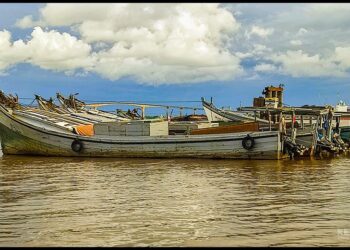 vissersboten waterkant kl 1 Guyanese vissers die hun handel drijven in wateren voor de kust van Suriname klagen over hogere huurprijzen voor visvergunningen.