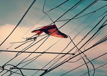 vlieger Ook het trekken aan vliegers die vastzitten in het net kan kortsluiting veroorzaken, omdat de elektrische draden tegen elkaar komen. Dit kan zorgen voor levensbedreigende situaties, zoals elektrocutie. Vanaf de aanvang van de schoolvakantie zijn tot nu toe al 8 storingen veroorzaakt door vliegers die in het netwerk terechtkwamen. Hiervan hebben de meeste zich in de dichtbevolkte buurten Latour en Livorno voorgedaan.