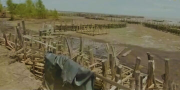 weg naar zee web De afgelopen dagen is er via verschillende social media-berichten melding gemaakt van een vermoedelijke dambreuk aan de Brantimakkaweg te Weg naar Zee. Het Ministerie van Openbare Werken benadrukt dat er geen sprake is van een dambreuk zoals dat wordt aangegeven op social media. Het ministerie kreeg een melding binnen van een buurtbewoner dat enkele percelen onder water waren.