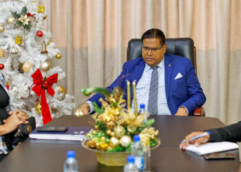 werkgroep Wijken in Ontwikkeling De presidentiële werkgroep Wijken in Ontwikkeling heeft haar actieplan voor 2024 voorgelegd aan president Chandrikapersad Santokhi. Dit plan heeft tot doel verlichting te brengen voor bewoners in diverse buurten.
