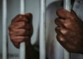 wet 13 1 26 De politie heeft donderdagavond 2 oktober 2025 bij het cellenhuis van politiebureau Lelydorp een man op heterdaad betrapt met marihuana. De verdachte, geïdentificeerd als S.A., zou de drugs over de omheining hebben willen gooien voor een ingesloten arrestant...