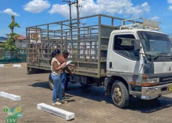 12 CDS LVV gestart met Het ministerie van Landbouw, Veeteelt en Visserij heeft per ingaande 19 augustus de procedure om vee te transporteren verscherpt. “Deze procedure is ingevoerd om gevallen van diefstal te kunnen reduceren en traceerbaarheid van vee te kunnen bewerkstelligen”, staat in een bekendmaking van het ministerie.