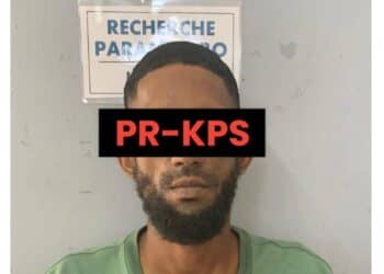 kps11 De benadeelde P.A. deed op dinsdag 13 augustus 2024 aangifte bij de politie ter zake diefstal van haar tas inhoudende grote geldbedragen in USD en SRD en een mobiele telefoontoestel, die ze op de achter zitting van haar voertuig had geplaatst. Naar zeggen van de aangeefster parkeerde ze haar voertuig aan de Zwartenhovenbrugstraat nabij de Anton de Komstraat om uit te kijken naar een waterpomp.