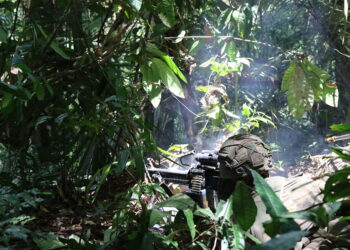 Archieffoto 2 Nederlandse militairen trainen dit jaar voor de derde maal achtereen in de jungle van Suriname, in de periode oktober tot december. Een compagnie van de Luchtmobiele Brigade en een peloton van het Korps Mariniers, in totaal rond de 100 militairen, volgen de loodzware Jungle Warfare (Instructors) Course. Daarnaast leveren nog honderdvijftig militairen ondersteuning aan de training. De training vindt plaats vanuit de Ayoko kazerne en Kamp Monsanto.