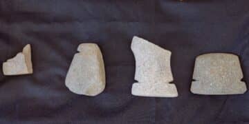 bijlen 1a De Stichting Surinaams Museum is bijzonder verheugd met de ontvangst van vier precolumbiaanse stenen bijlen. Deze belangrijke archeologische vondsten, die onderdeel zijn van Surinames rijke culturele erfgoed, zullen zorgvuldig worden bestudeerd en bewaard. De ceremonie waarin de bijlen officieel werden overhandigd, vond plaats op 10 september 2024 bij Fort Zeelandia.