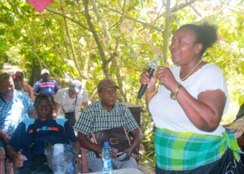 Monique Simons voorzitter A GO ANGA FESI FU BUSIKONDE