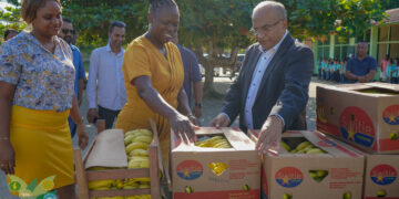 LVV 16okt 02 Het ministerie van Landbouw, Veeteelt en Visserij (LVV) heeft in verband met Wereldvoedseldag fruitdonaties gedaan aan diverse scholen en tehuizen. Het gaat in totaal om 3734 personen, waaronder jeugdigen en senioren, die op woensdag 16 oktober 2024 een fruitdonatie in ontvangst mochten nemen.