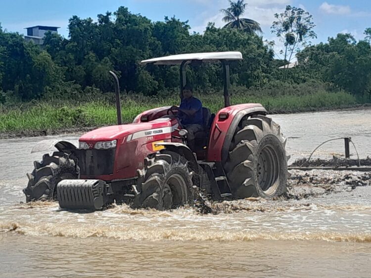 Rijstproducenten 02 e1728679042891 POLITIEK & ECONOMIE | MISDAAD & POLITIE | INGEZONDEN | COLUMN & OPINIE | ENTERTAINMENT | SPORT | GEZONDHIED | KEY NEWS |