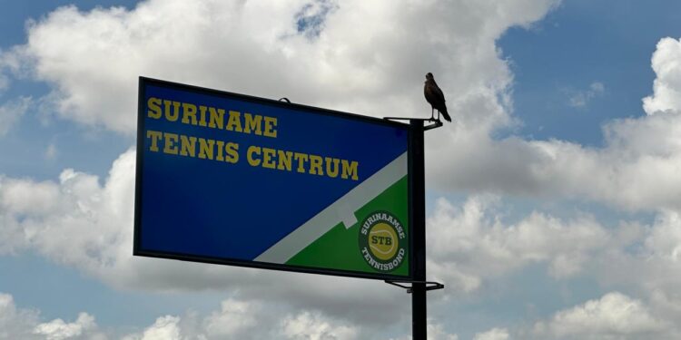 Surinaamse Tennisbond