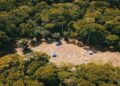 jodensavanne 2 SHATA en Stichting Jodensavanne starten samen het Friends of Jodensavanne-programma om het UNESCO-werelderfgoed in Suriname te beschermen en te versterken. Lees verder voor alle details.