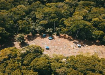 jodensavanne 2 SHATA en Stichting Jodensavanne starten samen het Friends of Jodensavanne-programma om het UNESCO-werelderfgoed in Suriname te beschermen en te versterken. Lees verder voor alle details.