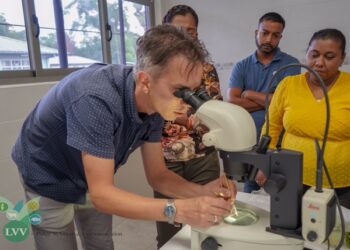 LVV’ers en ondersteunende organisaties starten met trainingen in Diagnostiek