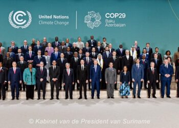 Klimaattop bereikt akkoord over koolstofkredieten, maar er is kritiek op proces
