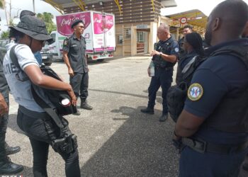 Foto; PoliceNationale de la Guyane