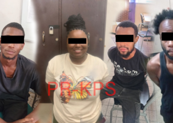 Screenshot 2024 12 11 080817 Vier verdachten zijn in verband met een gewelddadige poging tot beroving op 6 november 2024 aangehouden, waarbij een 57-jarige douaneambtenaar en haar gezinsleden in hun woning in Geyersvlijt werden aangevallen door een groep gemaskerde daders.