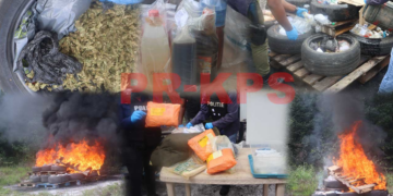 Narcotica Brigade vernietigt grote partij drugs in Para