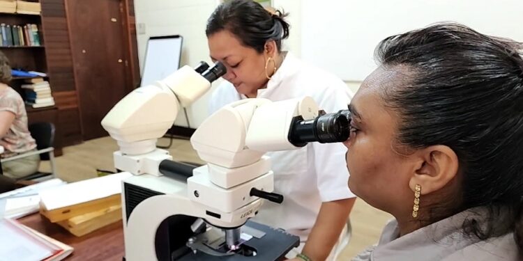 Analisten bezig met microscopen. Beeld: Tra Fas' De