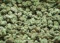 Vrouw aangehouden met drugs verstopt in voedsel bij arrestantenbezoek