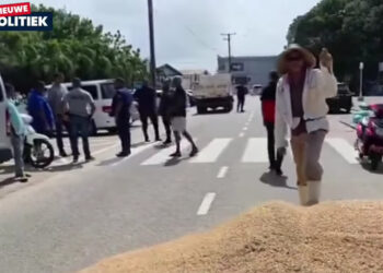 Padie gedumpt door de boze boeren voor het commissariaat in Nickerie | Beeld DTV