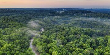 Foto 1 surinaams bos De verkoop van carbon credits stelt Suriname in staat financiële middelen te genereren voor het behoud van haar bossen en andere duurzame ontwikkelingsprojecten. Dit draagt bij aan de vermindering van de wereldwijde CO₂-uitstoot, omdat de Surinaamse bossen nog steeds fungeren als belangrijke CO₂-opslagplaatsen. De inkomsten uit de verkoop van koolstofkredieten kunnen worden geïnvesteerd in duurzame ontwikkelingsprojecten in Suriname, zoals hernieuwbare energie, duurzame landbouw en bosbeheer.