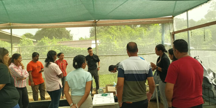Digitale sensoren moderniseren kassenteelt in Suriname