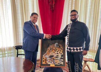 Santokhi en Ali herbevestigen nauwe samenwerking tussen Suriname en Guyana