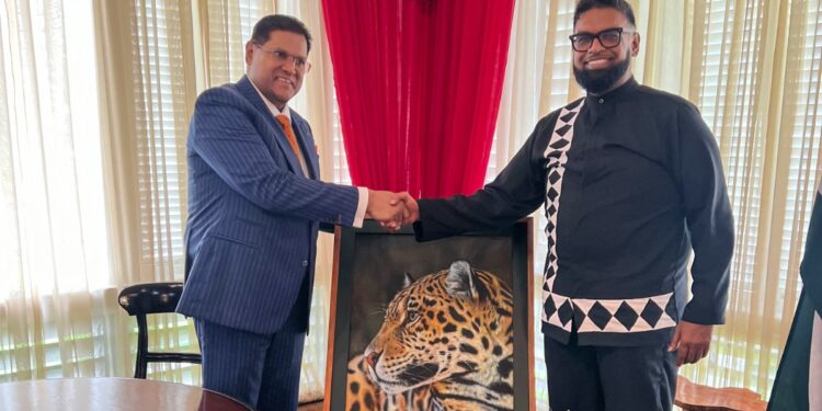 Santokhi en Ali herbevestigen nauwe samenwerking tussen Suriname en Guyana