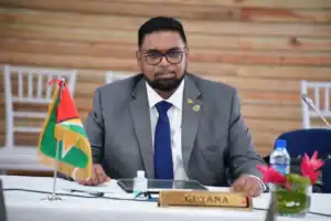 https://www.kaieteurnewsonline.com/2024/05/25/president-ali-calls-on-private-sector-to-pursue-opportunities-aggressively/