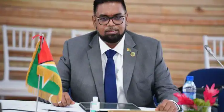 https://www.kaieteurnewsonline.com/2024/05/25/president-ali-calls-on-private-sector-to-pursue-opportunities-aggressively/
