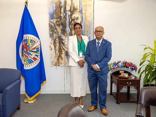 Surinaamse kunst opgenomen in OAS-collectie: werk van Sri Irodikromo geschonken aan Art Museum of the Americas