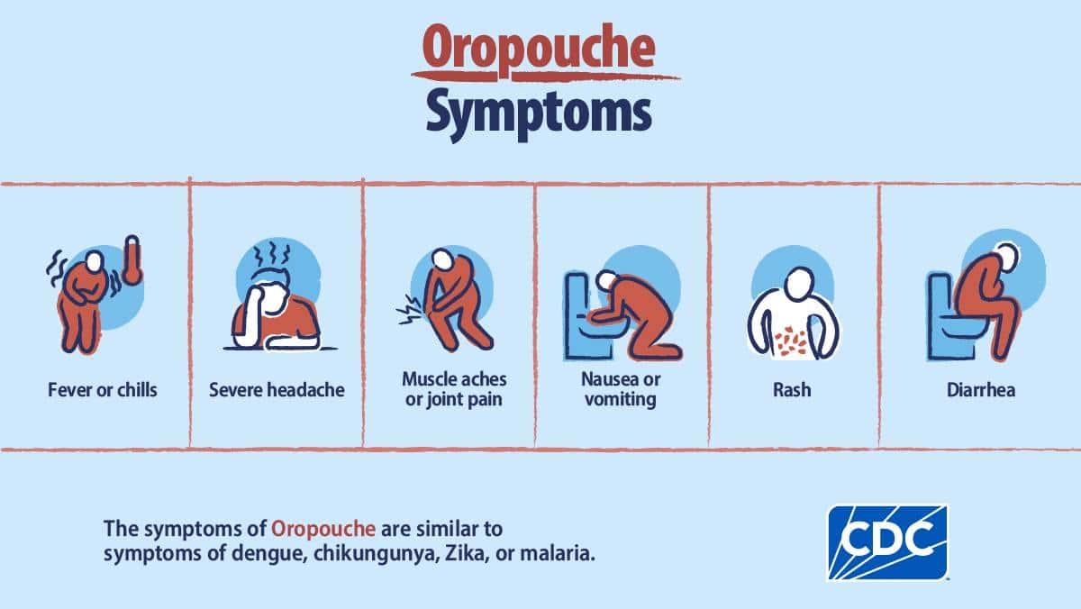 535388163 1174083558087279 3028744042296189904 n Het Ministerie van Volksgezondheid, Welzijn en Arbeid waarschuwt voor een toename van Oropouche-virusinfecties in de regio. Volgens de Pan American Health Organization (PAHO) zijn in 2025 al 12.786 gevallen geregistreerd in elf landen, waaronder vijf dodelijke gevallen in Brazilië.