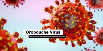 536170097 1174083461420622 2277113424044251675 n Het Ministerie van Volksgezondheid, Welzijn en Arbeid waarschuwt voor een toename van Oropouche-virusinfecties in de regio. Volgens de Pan American Health Organization (PAHO) zijn in 2025 al 12.786 gevallen geregistreerd in elf landen, waaronder vijf dodelijke gevallen in Brazilië.