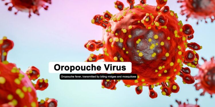 536170097 1174083461420622 2277113424044251675 n Het Ministerie van Volksgezondheid, Welzijn en Arbeid waarschuwt voor een toename van Oropouche-virusinfecties in de regio. Volgens de Pan American Health Organization (PAHO) zijn in 2025 al 12.786 gevallen geregistreerd in elf landen, waaronder vijf dodelijke gevallen in Brazilië.