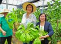 Suriname Agricultural Technical Cooperation Center 01 President Jennifer Simons heeft tijdens een bezoek aan het China-Aid Suriname Agricultural Technical Cooperation Center in Saramacca onderstreept dat de landbouwsector in Suriname in versneld tempo moet worden ontwikkeld.