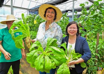 Suriname Agricultural Technical Cooperation Center 01 President Jennifer Simons heeft tijdens een bezoek aan het China-Aid Suriname Agricultural Technical Cooperation Center in Saramacca onderstreept dat de landbouwsector in Suriname in versneld tempo moet worden ontwikkeld.