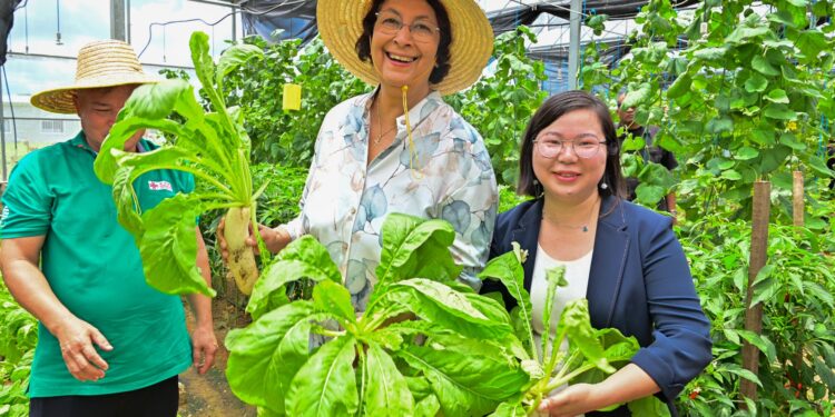 Suriname Agricultural Technical Cooperation Center 01 President Jennifer Simons heeft tijdens een bezoek aan het China-Aid Suriname Agricultural Technical Cooperation Center in Saramacca onderstreept dat de landbouwsector in Suriname in versneld tempo moet worden ontwikkeld.