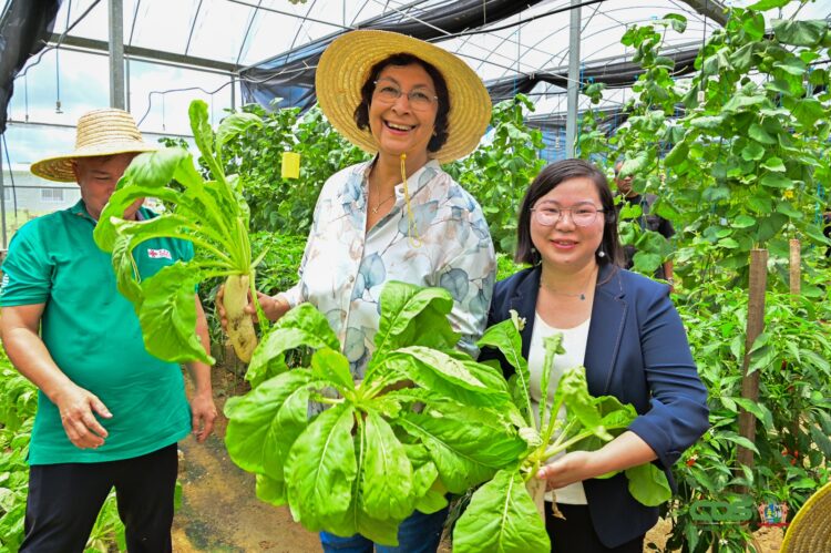 Suriname Agricultural Technical Cooperation Center 01 POLITIEK & ECONOMIE | MISDAAD & POLITIE | INGEZONDEN | COLUMN & OPINIE | ENTERTAINMENT | SPORT | GEZONDHIED | KEY NEWS |