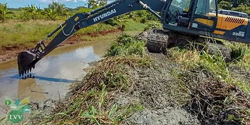 untitled 3 Met het oog op het rijstoogstseizoen in Nickerie zijn de eerste voorbereidende werkzaamheden in volle gang. Het ministerie van Landbouw, Veeteelt en Visserij (LVV) is op 20 augustus gestart met het ophalen van loosleidingen in de Groot Henar Polder, serie 1 en 2.
