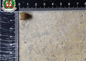 548179858 627476207109893 1094475210580162122 n Een bewoner van de Goudbrasemstraat in Nieuw Nickerie heeft in de vroege ochtend van woensdag 17 september 2025 een projectiel in zijn garage aangetroffen. De politie werd rond 06.00 uur ingeschakeld, nadat de man, de 55-jarige B.S., het voorwerp op de vloer had gevonden.