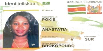 voorbeeld E-ID. beeld Anastatia Pokie/FB