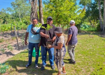 02 Image 2025 10 15 at 13.30.12 4 1536x1024 1 Ter gelegenheid van de Internationale Plattelandsvrouwendag (15 oktober) heeft het ministerie van Landbouw, Veeteelt en Visserij in ressort Wanica D plattelandsvrouwen in Lelydorp in het zonnetje gezet. Zij ontvingen citrusbomen, die direct in de woonomgeving zijn geplant.