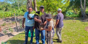 02 Image 2025 10 15 at 13.30.12 4 1536x1024 1 Ter gelegenheid van de Internationale Plattelandsvrouwendag (15 oktober) heeft het ministerie van Landbouw, Veeteelt en Visserij in ressort Wanica D plattelandsvrouwen in Lelydorp in het zonnetje gezet. Zij ontvingen citrusbomen, die direct in de woonomgeving zijn geplant.