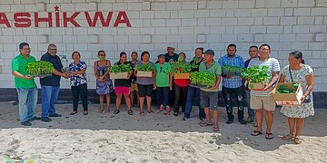 07 Image 2025 10 24 at 09.13.22 1536x1024 1 Het ministerie van Landbouw, Veeteelt en Visserij (LVV) heeft in het dorp Matta (district Para) meer dan duizend groente- en fruitplantjes uitgedeeld. De actie moet voedselzekerheid versterken, de zelfvoorziening vergroten en bewoners stimuleren om kleinschalig voor eigen gebruik te telen.