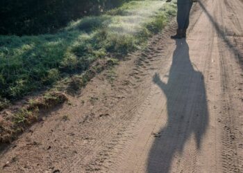 558297483 1253664026802935 1622788433577852120 n Tot mijn zeer grote verontwaardiging constateer ik ernstige schendingen van de Arbeidswet en van de algemene volksgezondheid op de Facebookpagina van het ministerie van Landbouw, Veeteelt en Visserij (LVV). De door LVV zelf gedeelde foto’s van “chemisch wieden” langs de weg (Saramacca: Tayerbladweg en Pindaweg) laten een werkwijze zien die werknemers, omwonenden, weggebruikers, vee en milieu onnodig in gevaar brengt.