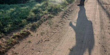 558297483 1253664026802935 1622788433577852120 n Tot mijn zeer grote verontwaardiging constateer ik ernstige schendingen van de Arbeidswet en van de algemene volksgezondheid op de Facebookpagina van het ministerie van Landbouw, Veeteelt en Visserij (LVV). De door LVV zelf gedeelde foto’s van “chemisch wieden” langs de weg (Saramacca: Tayerbladweg en Pindaweg) laten een werkwijze zien die werknemers, omwonenden, weggebruikers, vee en milieu onnodig in gevaar brengt.