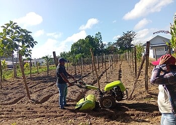 570292572 1133666815604441 7718205049591535512 n Het ministerie van Landbouw, Veeteelt en Visserij (LVV) heeft donderdag 23 oktober 2025 een werkbezoek gebracht aan landbouwer Dew Sewradj in Kwatta. In het kader van ‘Meet the Farmer’ werd 775 m² akkerland geploegd met inzet van ministeriële machines.