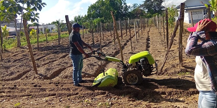 LVV helpt agrariërs in Wanica-A via ‘Meet the Farmer’ 1 570292572 1133666815604441 7718205049591535512 n Het ministerie van Landbouw, Veeteelt en Visserij (LVV) heeft donderdag 23 oktober 2025 een werkbezoek gebracht aan landbouwer Dew Sewradj in Kwatta. In het kader van ‘Meet the Farmer’ werd 775 m² akkerland geploegd met inzet van ministeriële machines.
